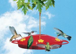 Hummingbird Feeders by Perky Pet